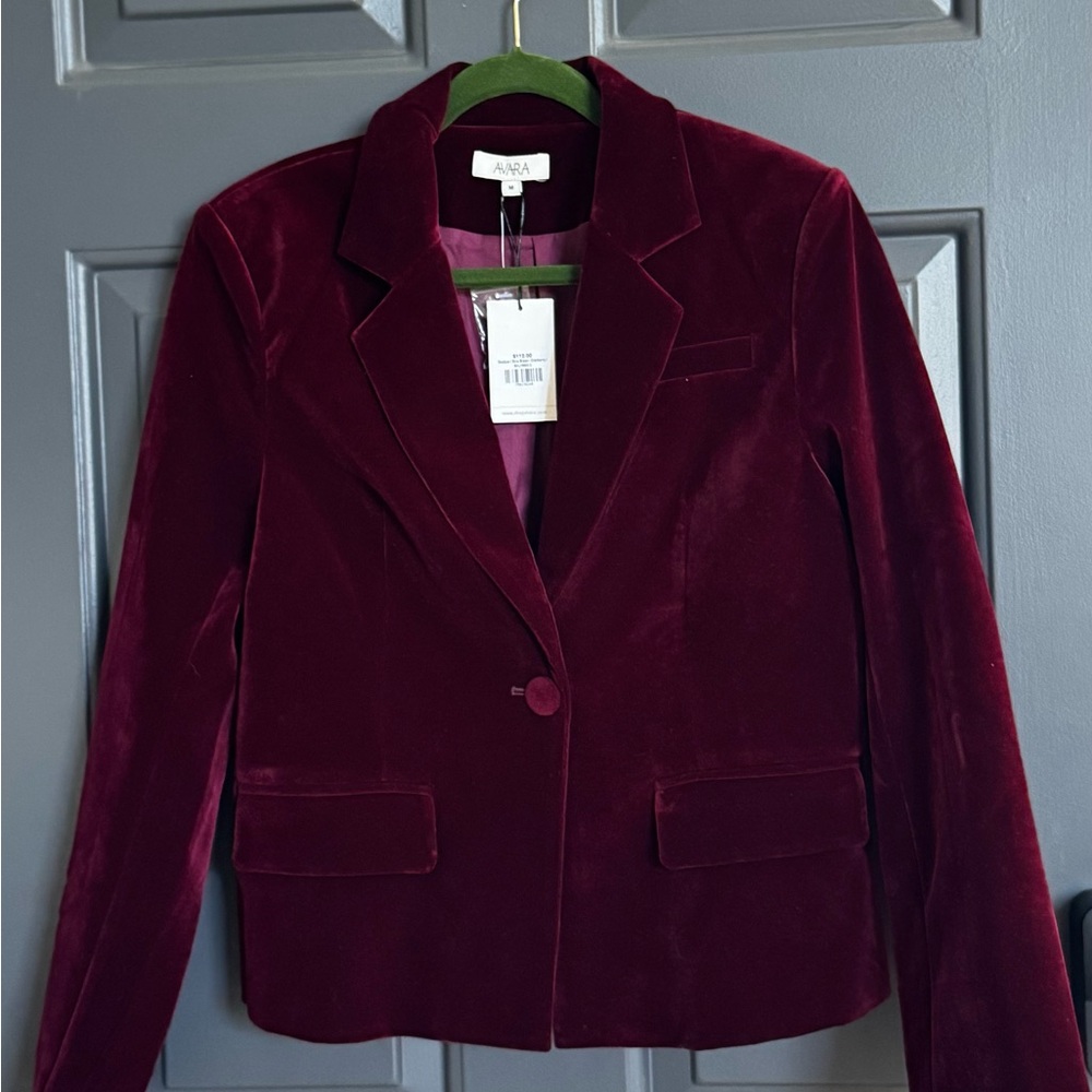 Avara Velvet Single-Button Blazer in Wine